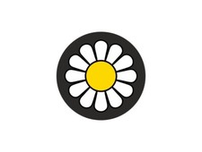 Autocollant sticker voiture