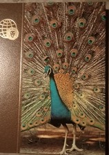 Encyclopédies LE ROYAUME DES