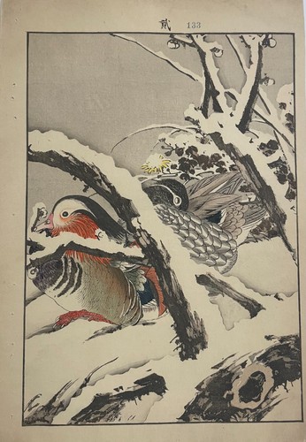 Keinen imao canards dans la - [canards,