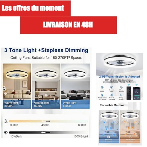 Ventilateur plafond - ventilateur,