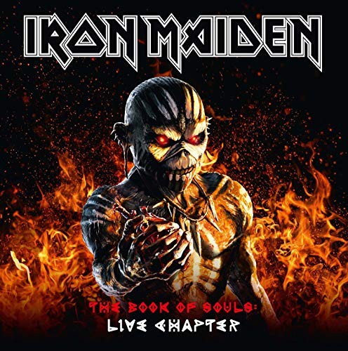 Iron maiden livre - maiden,