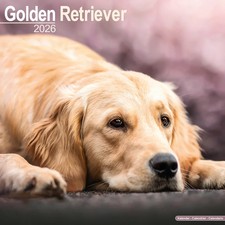 Calendrier 2026 - GOLDEN RETRIEVER