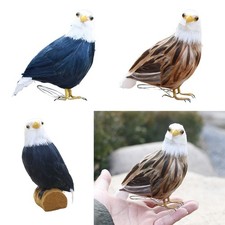 Aigle d'oiseau à plumes