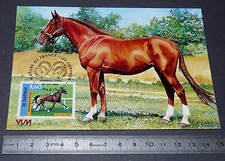 CARTE POSTALE 1er JOUR PHILATELIE 1998 CHEVAUX TROTTEUR COURSE 