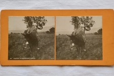 S.I.P. - Le bourricot Kabyle - Indigènes - Algérie - Photographies stéréo