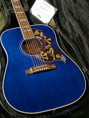 Gibson hummingbird quilted - gibson,
