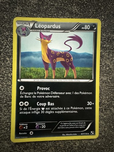 Leopardus rare pokémon - leopardus,