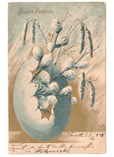 1905 relief carte postale - in,
