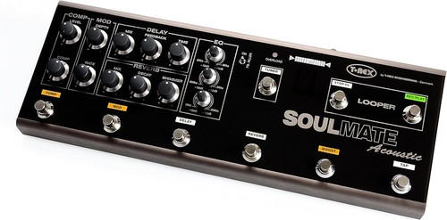 Rex soulmate acoustic - t-rex,