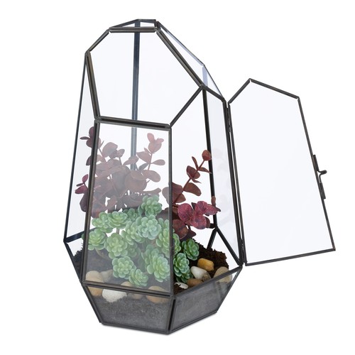 Terrarium ecosysteme - ecosysteme,