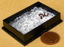 Maison de Poupées Chat Animal