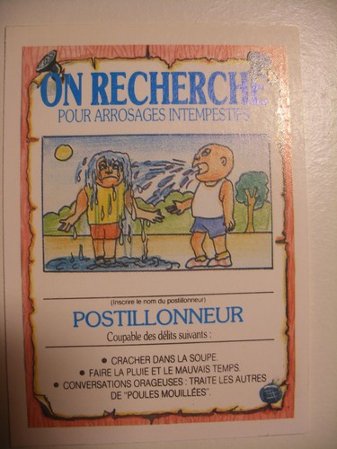 Album panini merlin - panini, les
