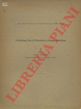 OKA Asajiro - A striking case