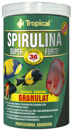 Spiruline tropicale forte - spiruline,