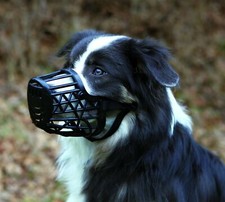 Trixie Museau, Plastique, Noir, Divers Taille �� En