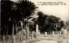 CPA AK The Great Cycad of Shookuji Temple Hiji JAPAN (726350)