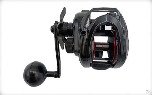 Moulinet casting daiwa pt - daiwa, 25