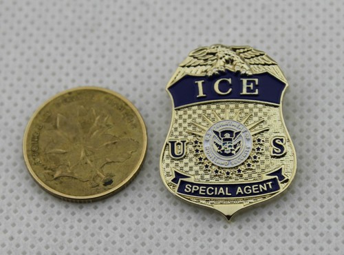 Ice special agent lapel pin - ice,