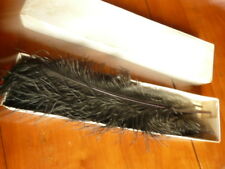 Lot de plumes d'autruche noire dans leur boite + 1 petit boa en plume