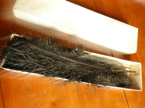 Lot plumes autruche - plumes, d'autruche