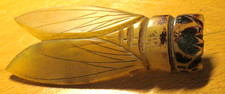BROCHE ancienne CIGALE