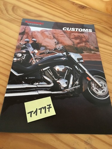 Kawasaki custom 800 1600 - custom, vn