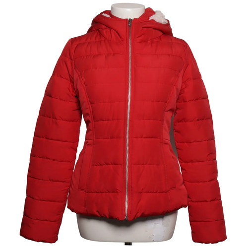 Hollister veste hiver - hollister,, d'hiver