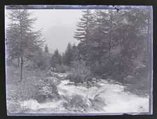 Ancienne photo plaque de verre