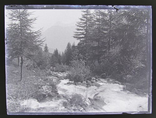 Ancienne photo plaque verre - photo,