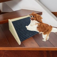 Rampe pour chien, portable