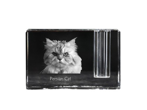 Chat persan porte stylo - -,