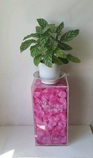 Présentoir parfum plexiglas pétale rose publicitaire Very irrésistible bloc 