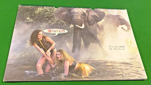 Calendrier pirelli 2009 - calendrier,