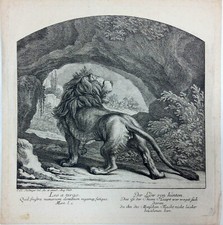 Gravure XVIIIe - Lion de dos - Johann Elias RIDINGER - 28x27 cm