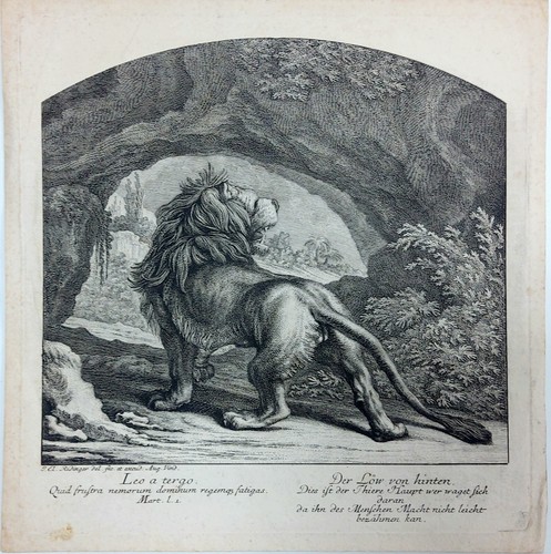 Gravure xviiie lion dos - -, de