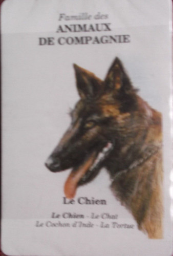 Jeu des familles les - jeu, 7