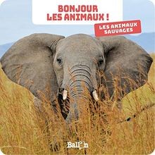 Bonjour les animaux : Les