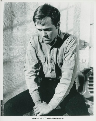 Wendell burton fortune and - wendell,