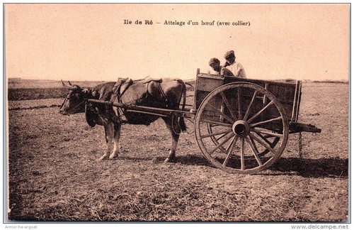 Ile attelage d un - 17, re