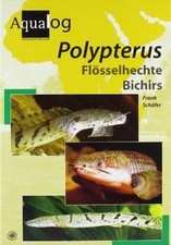 Polypterus. Flösselhechte