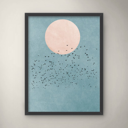 Birds fly away - fly,
