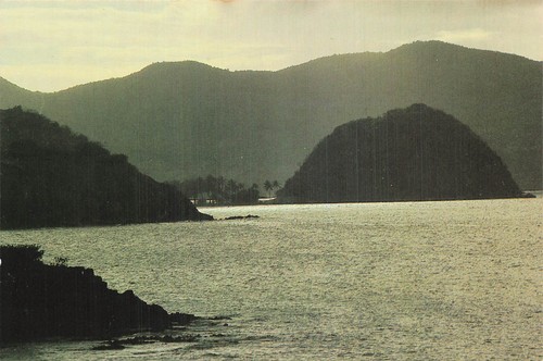 971 les saintes pain de - le,
