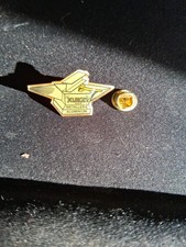 PINS Pin's ENCLUME ET MARTEAU