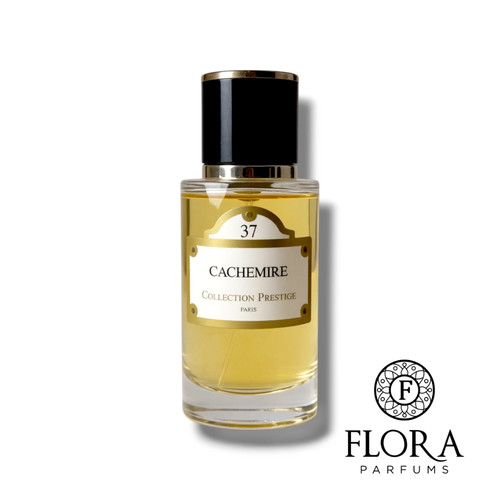 Cachemire collection - –,