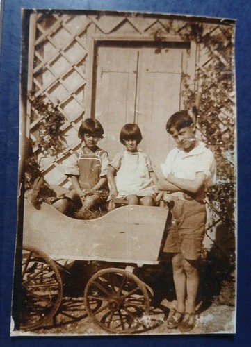 Enfants charette lapin - et,