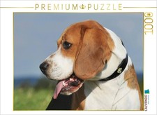 CALVENDO Puzzle Beagle -
