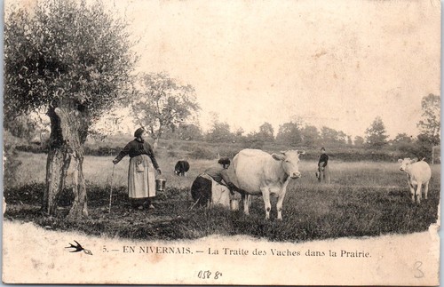 Nivernais la traite - la,