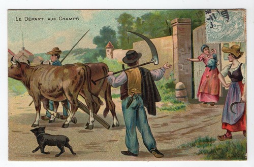 Agriculture campagne scenes - campagne,