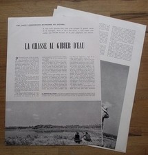 LA CHASSE AU GIBIER D'EAU LA SAUVAGINE document article clipping 1955