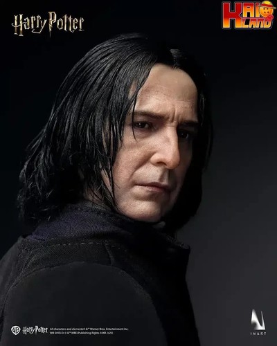 Inart harry potter severus - harry,